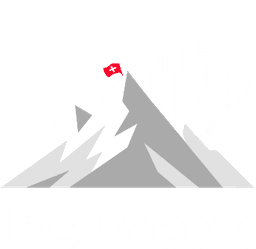 Logo HelveX